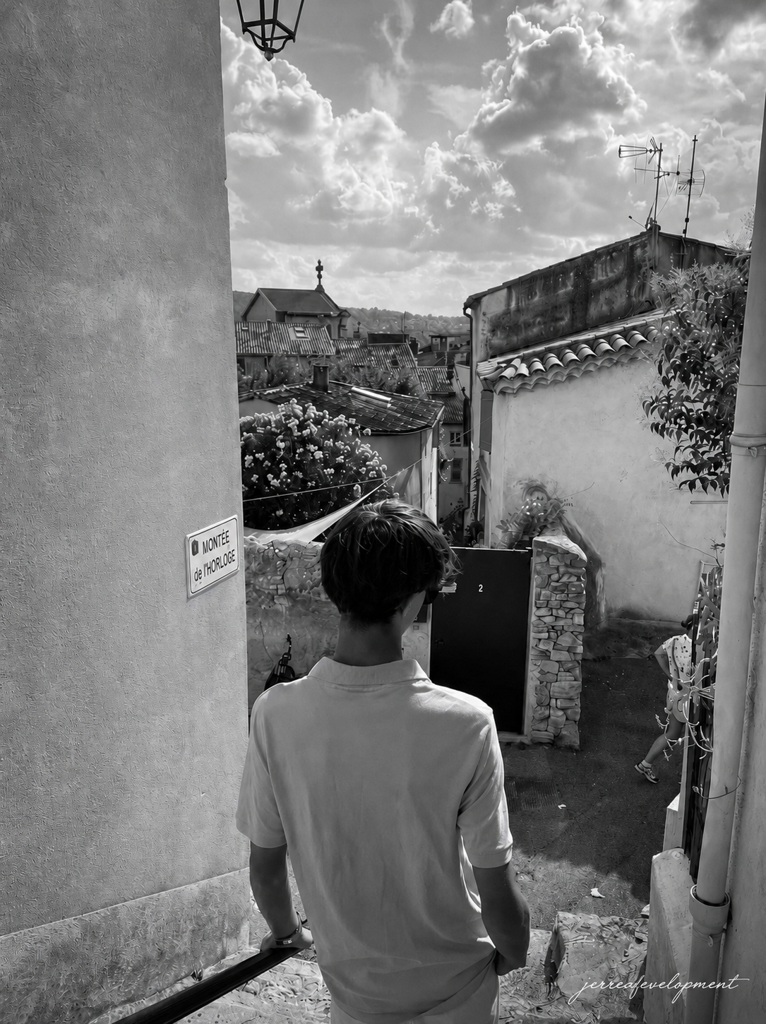Jerre van Schie overlooking a town